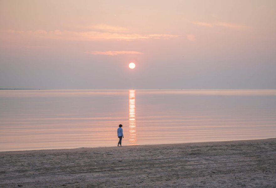 Training in Bewust Zijn